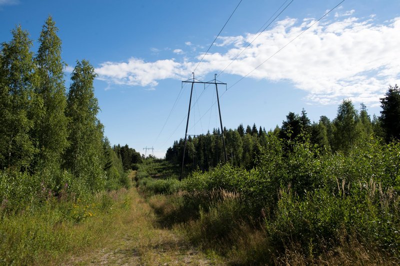 Metsiköiden välissä avoimella alueella kulkee sähkölinja, jonka ympäristöstä on huolehdittu hyvin, jotta puut eivät pääse kaatumaan johtojen päälle. Kesäisessä maisemassa erottuvat sininen taivas ja  vehreät lehtipuut ja havupuut. Kuva: Anu Mikkola 2022.